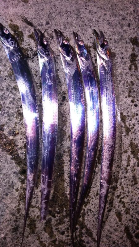 まあまあサイズ