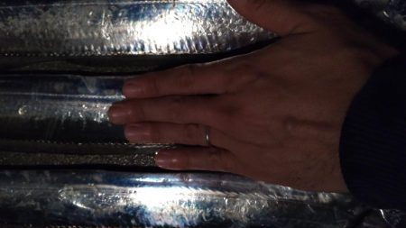 雨中のタチウオ