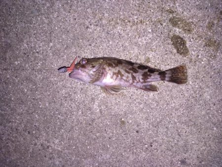 ライトワインドで