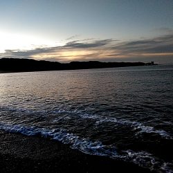 当たりは　多いですが、小型ばかりでした！！