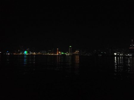 まだいける タチウオ