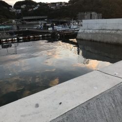 鯛釣りイサキ釣りｗ