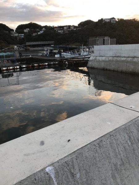 鯛釣りイサキ釣りｗ