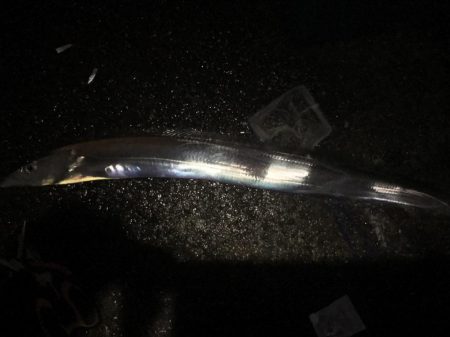 この時期にしては素晴らしい