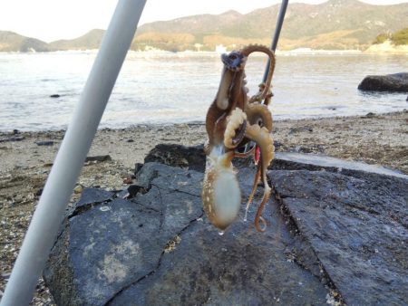 1日でキスの型が・・・