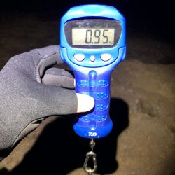 水平フォールってこんな効く！？