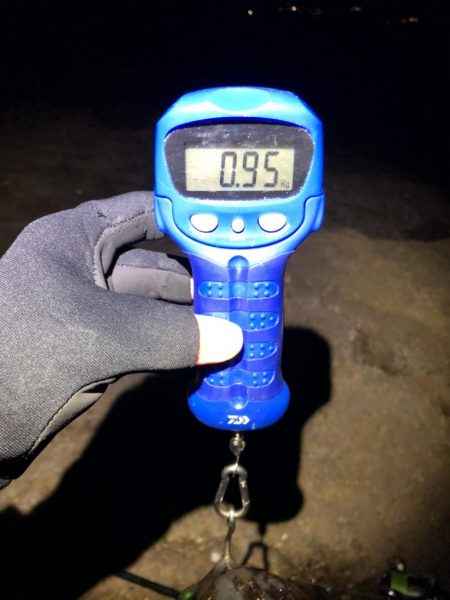 水平フォールってこんな効く！？