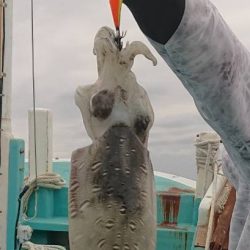 奇跡の根がかり王!