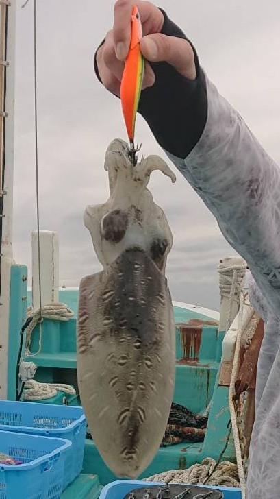 奇跡の根がかり王!