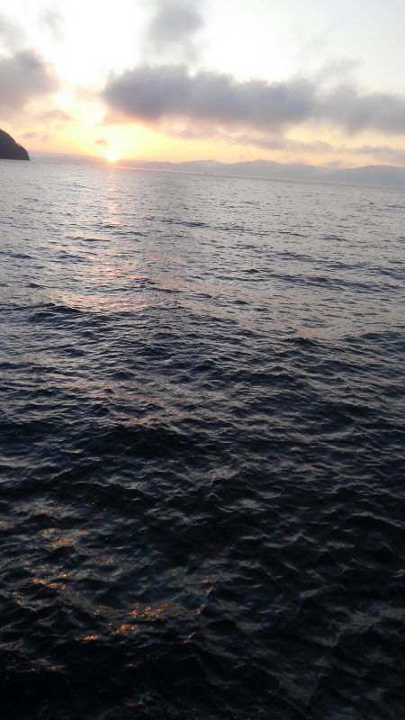 今シーズン初500g アップ⤴⤴