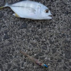 爆風と寒さに耐えながら