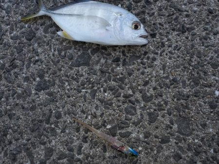 爆風と寒さに耐えながら