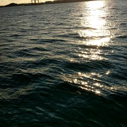 いつまで釣れる?