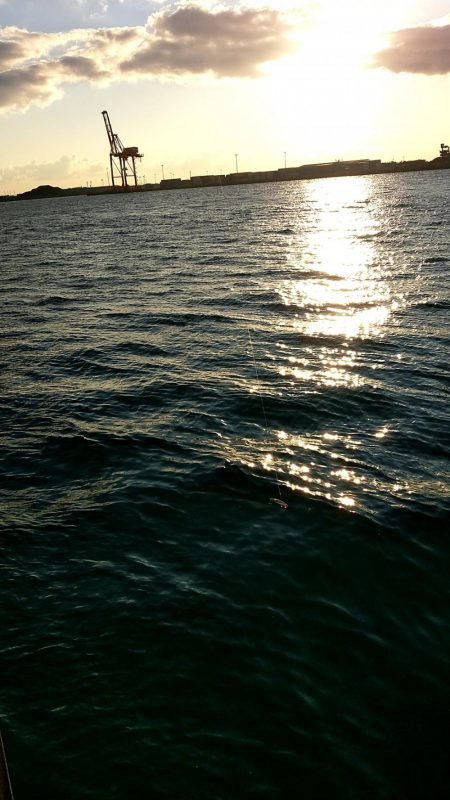 いつまで釣れる?