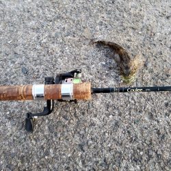 ハゼング、ガシリング