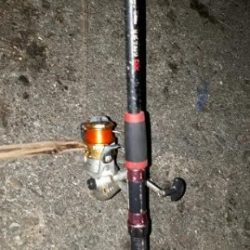 深夜スタート、なんとか大物をゲット！