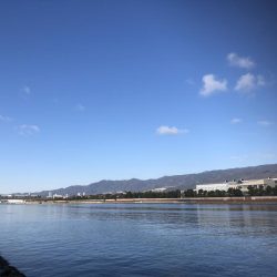 エビ撒きハネ釣りなんですけど何か？