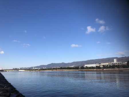 エビ撒きハネ釣りなんですけど何か？