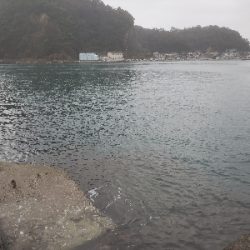 久しぶりの餌釣り