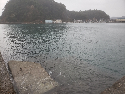 久しぶりの餌釣り