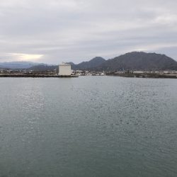 昨日の残り餌を