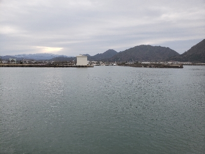 昨日の残り餌を