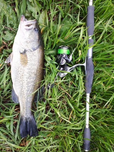 冬の紀の川本流40UPバス！！