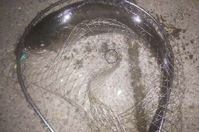 都市載せにランカーをゲット！