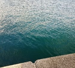 寒いけどアジング