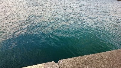 寒いけどアジング