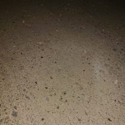 ２日連チャン！