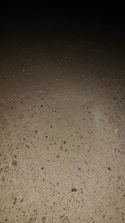 ２日連チャン！