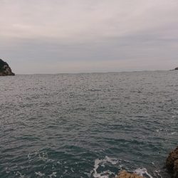 お正月用のイカゲット！