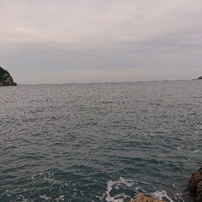 お正月用のイカゲット！