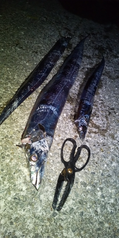 沖堤防より釣れる？