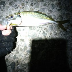 newタックルの入魂式