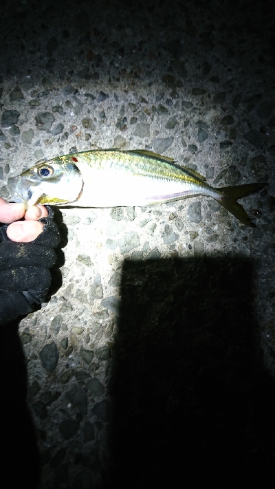 newタックルの入魂式