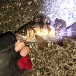 アジゲームでまさかの･・・