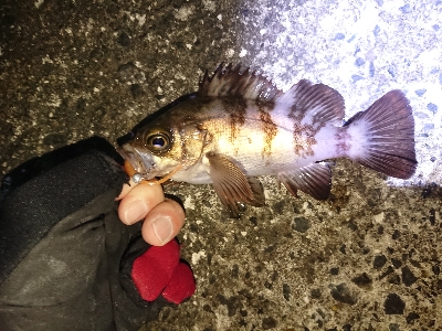 アジゲームでまさかの･・・