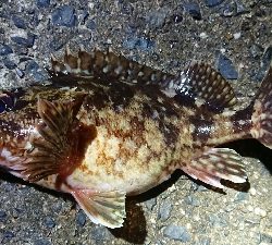 年末天気が荒れる前に