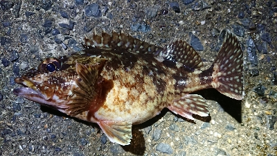 年末天気が荒れる前に