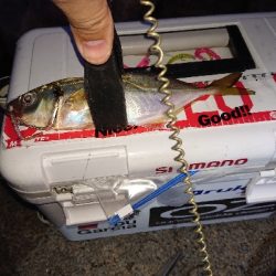 ジグ単は、楽しい