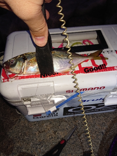 ジグ単は、楽しい