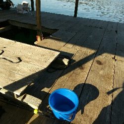 初の釣り筏（高橋渡船さんにて）