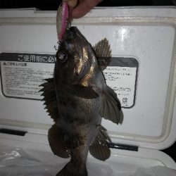 ランガンメバリング