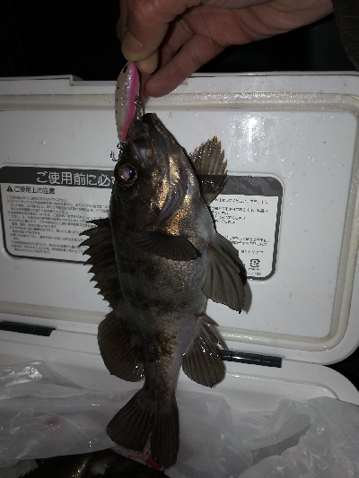 ランガンメバリング