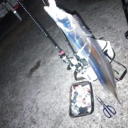 今季初のつ抜け