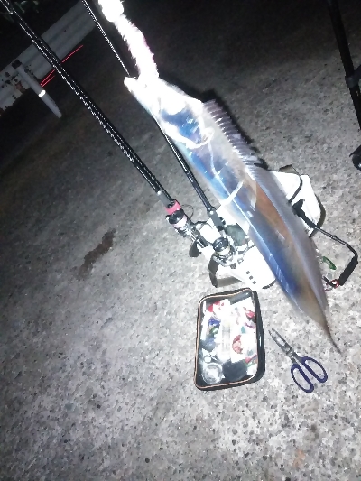 今季初のつ抜け