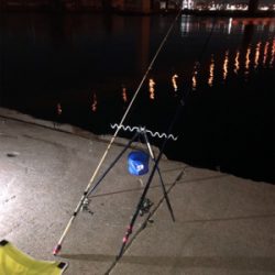 太刀魚リベンジ❗️