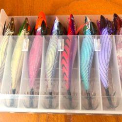 大阪湾オーシャンズのテップラン4時間便